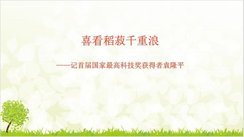4.1 喜看稻菽千重浪 课件第3页