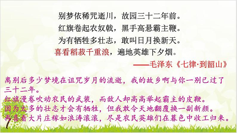 4.1 喜看稻菽千重浪 课件第4页