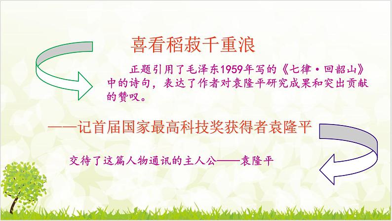 4.1 喜看稻菽千重浪 课件第5页