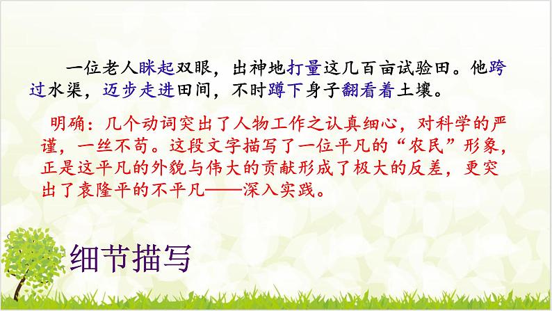 4.1 喜看稻菽千重浪 课件第8页