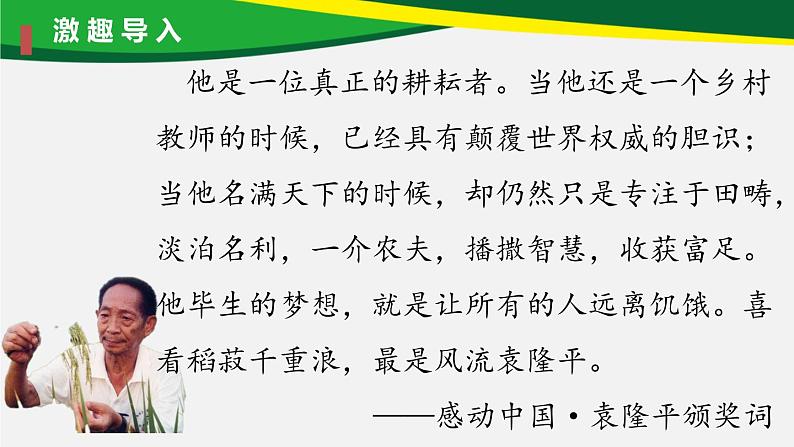 4《喜看稻菽千重浪》《心有一团火，温暖众人心》课件2022-2023学年统编版高中语文必修上册01