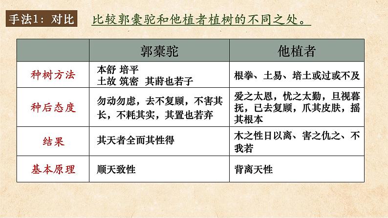 种树郭橐驼传 课件第7页