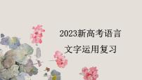 2023届高考语文一轮复习：新高考语言文字运用 课件