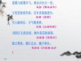 14.1《故都的秋》课件2022-2023学年统编版高中语文必修上册