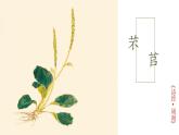 《芣苢》《插秧歌》课件2022-2023学年统编版高中语文必修上册
