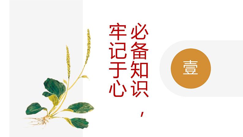 《芣苢》《插秧歌》课件2022-2023学年统编版高中语文必修上册第4页