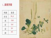 《芣苢》《插秧歌》课件2022-2023学年统编版高中语文必修上册