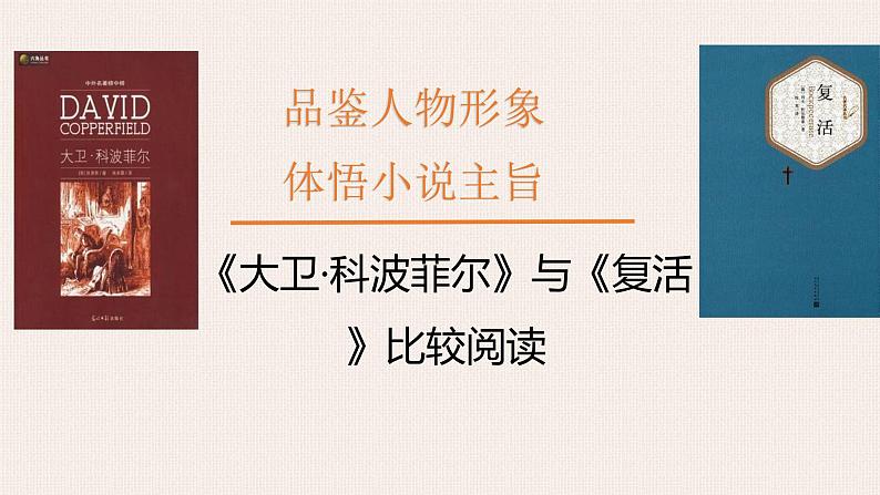 《大卫·科波菲尔（节选）》《复活》比较阅读课件2022-2023学年统编版高中语文选择性必修上册第2页