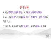 3.2《蜀相》课件-- 2021-2022学年统编版高中语文选择性必修下册