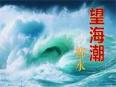 4.1《望海潮》课件 2021-2022学年统编版高中语文选择性必修下册