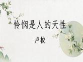 4.2 《怜悯是人的天性》课件 2022-2023学年统编版高中语文选择性必修中册