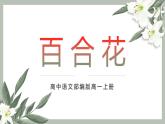 百 合 花 课件