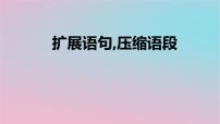 2023届高考一轮复习：扩展语句压缩语段 课件