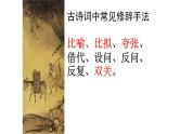 2023届高考语文复习：鉴赏古代诗歌表达技巧 课件