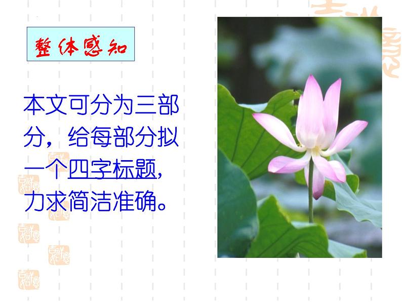 8.1《荷花淀》课件 2022-2023学年统编版高中语文选择性必修中册04