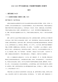 2022-2023学年陕西省安康市高三三模（第三次教学质量联考）语文试题含解析