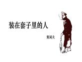 13.2《装在套子里的人》课件 2021—2022学年统编版高中语文必修下册