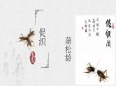 14-1《促织》课件 2021-2022学年统编版高中语文必修下册