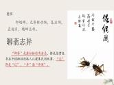14-1《促织》课件 2021-2022学年统编版高中语文必修下册