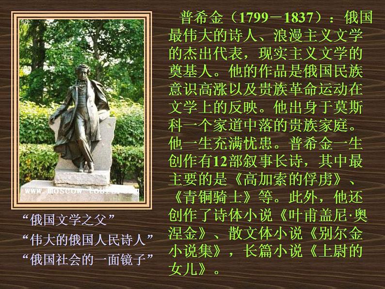 13.2《致大海》课件 2022-2023学年统编版高中语文选择性必修中册第4页