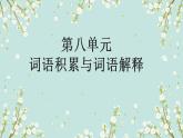 第八單元 詞語積累與詞語解釋 課件 2022-2023學(xué)年統(tǒng)編版高中語文必修上冊(cè)