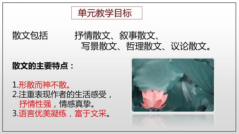 14.2《荷塘月色》课件 2022-2023学年统编版高中语文必修上册06