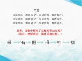 6《芣苢》《插秧歌》群文阅读课件  2022-2023学年统编版高中语文必修上册