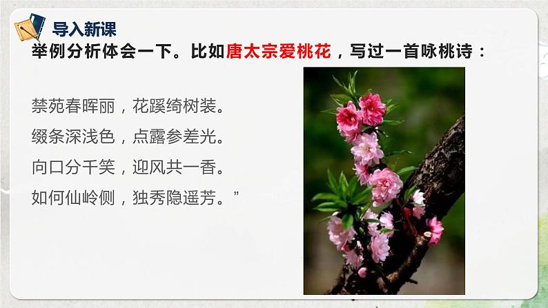 第三单元第五节《说“木叶”》第二课时课件第5页