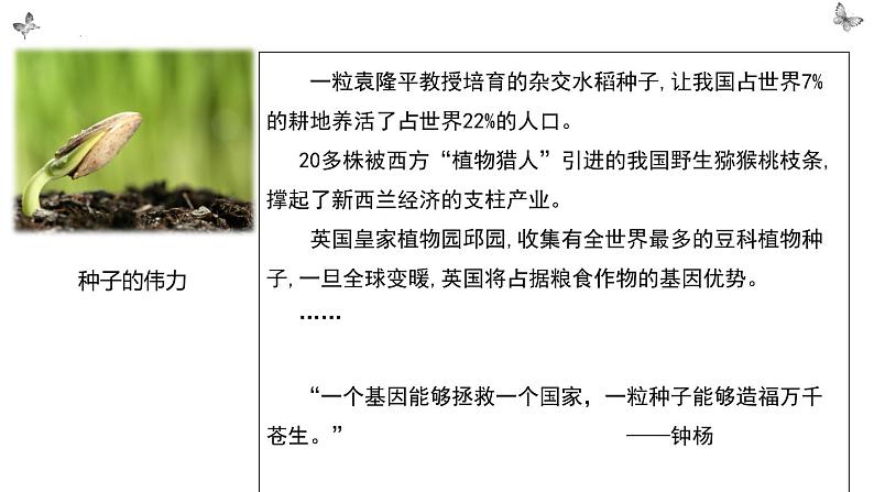 《“探界者”钟扬》课件+2022-2023学年统编版高中语文必修上册第6页