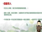 《插秧歌》课件2022-2023学年统编版高中语文必修上册