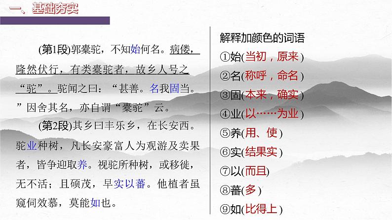 05  《种树郭橐驼传》-2023年新高考语文文言文复习之课内精选篇目梳理课件PPT第4页