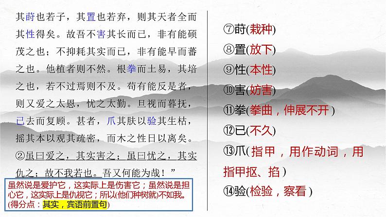 05  《种树郭橐驼传》-2023年新高考语文文言文复习之课内精选篇目梳理课件PPT第7页