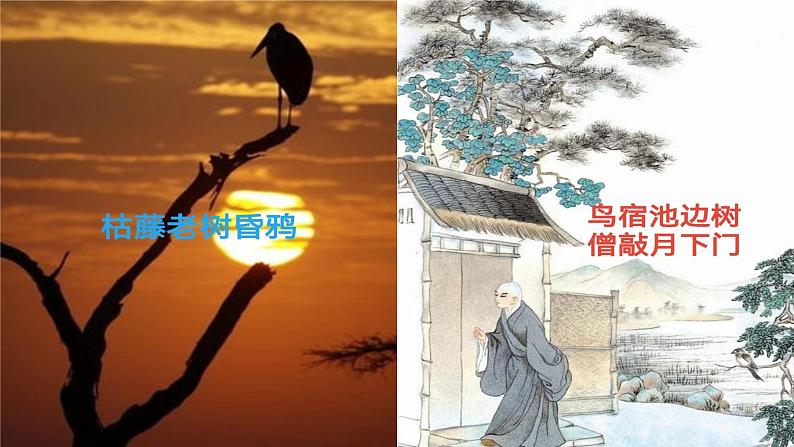 13.4《树和天空》课件（  2022-2023学年统编版高中语文选择性必修中册03