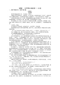 文学类文本阅读——小说-备战2023年高考语文专项复习练（学生版+答案）