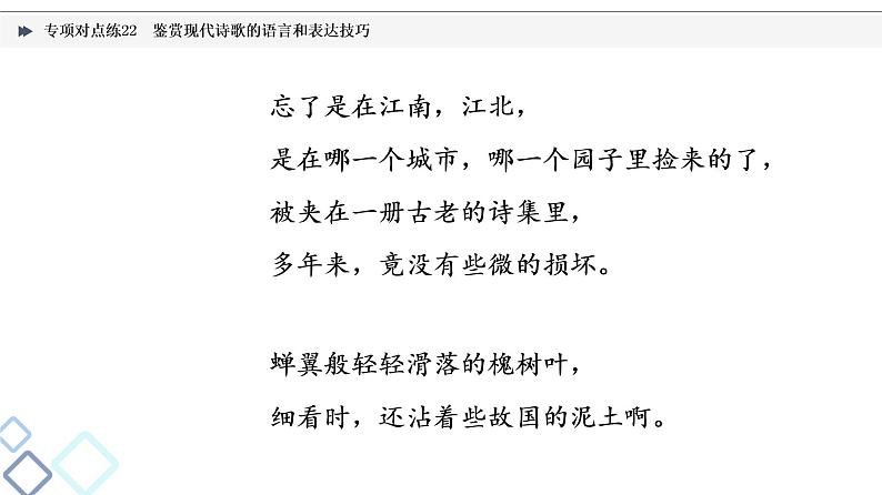 2022版高考语文二轮复习 专项对点练22 鉴赏现代诗歌的语言和表达技巧课件PPT第3页