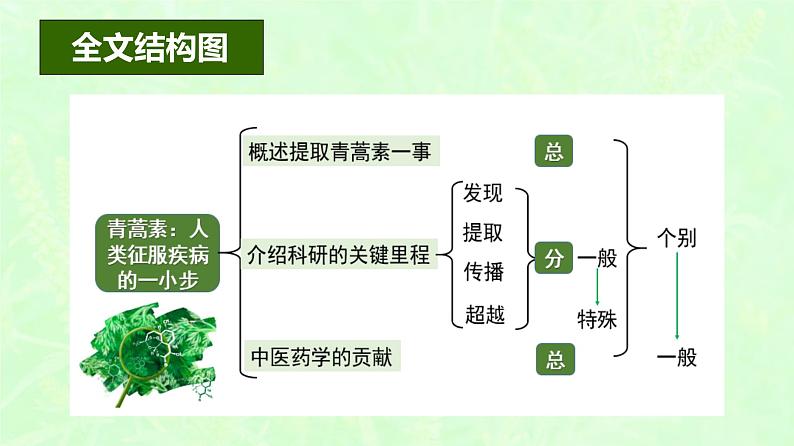 2021-2022学年部编版高中语文必修下册7.1《青蒿素：人类征服疾病的一小步》课件07