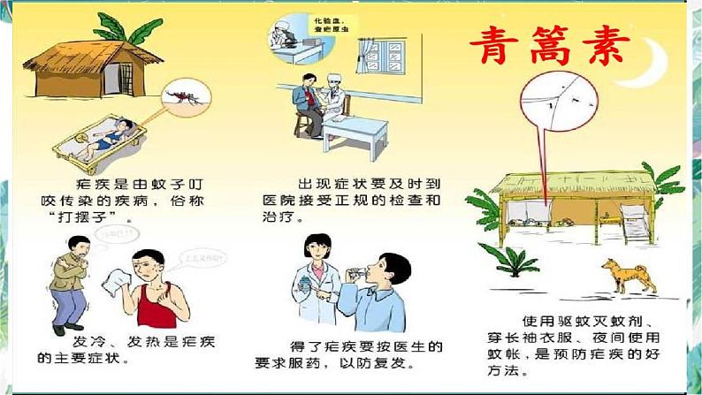 2021-2022学年部编版高中语文必修下册7.《青蒿素：人类征服疾病的一小步》《一名物理学家的教育历程》群文阅读课件第3页