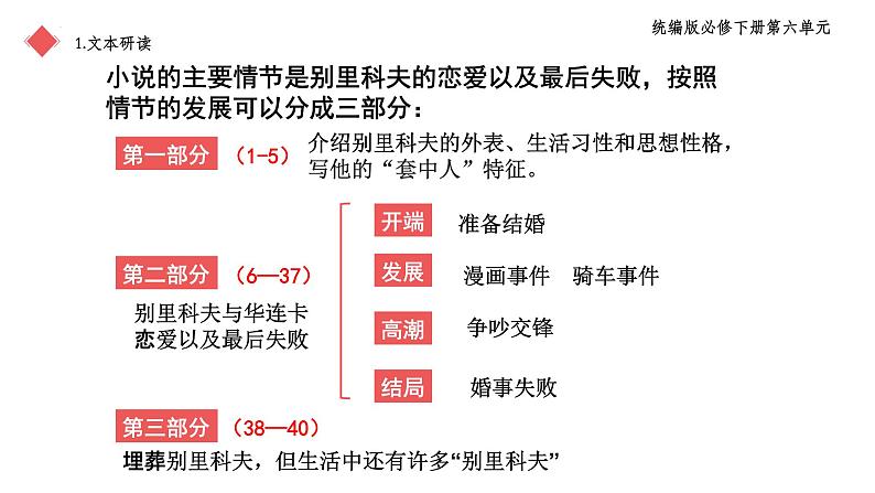 2021—2022学年部编版高中语文必修下册13.2《装在套子里的人》课件第5页