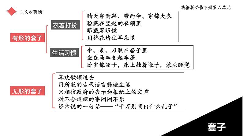 2021—2022学年部编版高中语文必修下册13.2《装在套子里的人》课件第8页