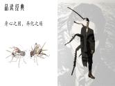 2021-2022学年高中语文部编版必修下册《促织》《变形记》对比阅读课件