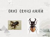 2021-2022学年高中语文部编版必修下册14.《促织》《变形记》对比阅读课件