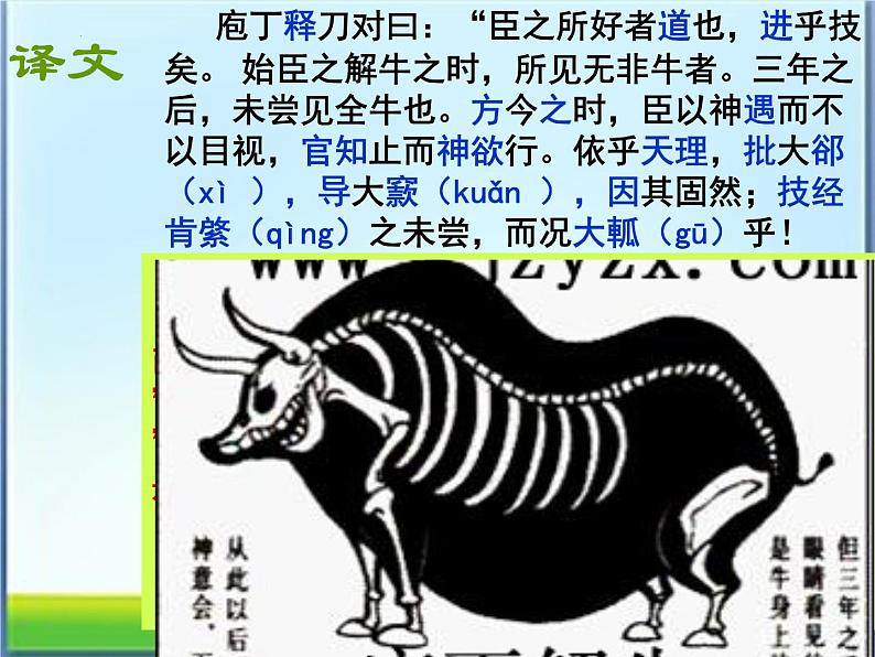 1-3《庖丁解牛》课件 2021-2022学年统编版高中语文必修下册08