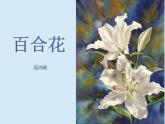 3.1《百合花》课件 2022-2023学年统编版高中语文必修上册