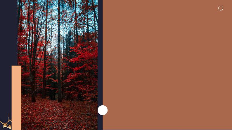 4.2《怜悯是人的天性》（教学课件+同步教案+导学案+分层作业） 高二语文选择性必修中册同步备课系列（统编版）04