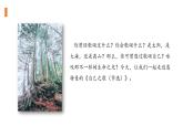 13.3《自己之歌（節(jié)選）》（課件+同步教案+導(dǎo)學(xué)案+分層作業(yè)） 高二語文選擇性必修中冊(cè)同步備課系列（統(tǒng)編版）