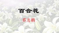 语文必修 上册3.1 百合花图文ppt课件