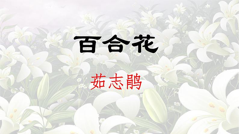 《百合花》课件2022-2023学年统编版高中语文必修上册第1页