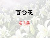 《百合花》课件2022-2023学年统编版高中语文必修上册