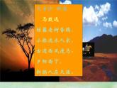 《故都的秋》课件2022-2023学年统编版高中语文必修上册