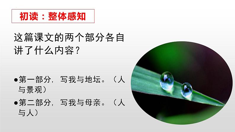 《我与地坛》课件2022-2023学年统编版高中语文必修上册第5页